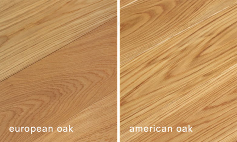 American Oak Versus European Oak